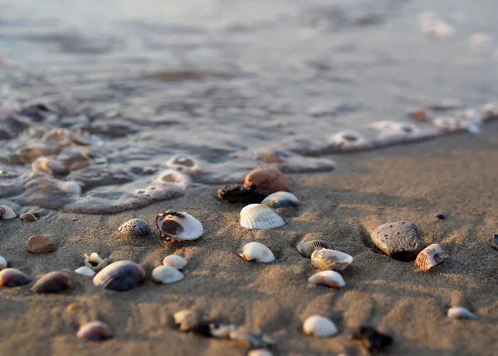 Apartment One-bedroom With Sea View Bibione